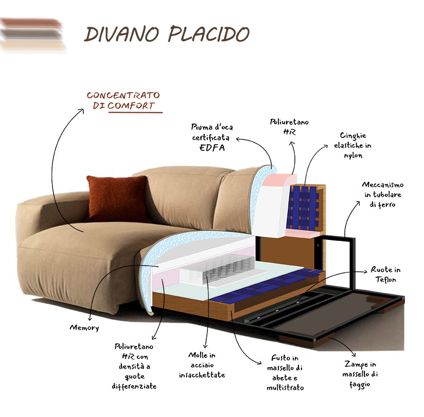 Placido